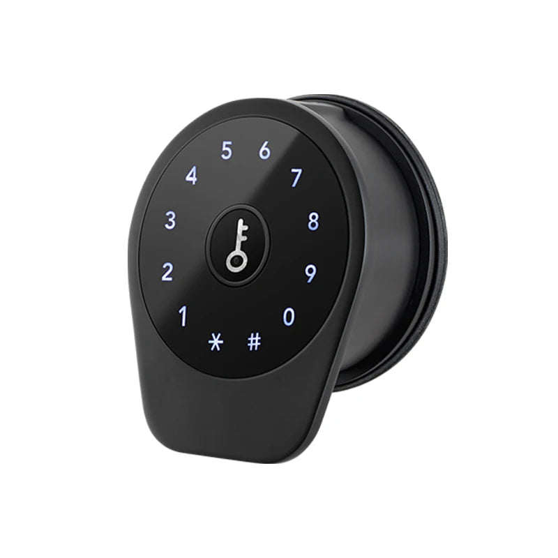 Smart Locks Password Fingerprint Card TTLOCK APP Digital Electronic Rim Door Locks Waterproof Outdoor Gate Lock