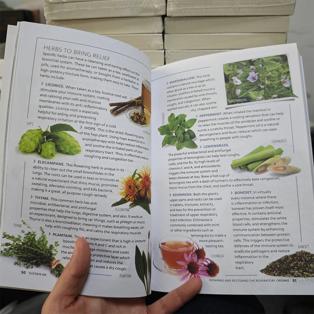 3 Books Self Heal By Design / Sustain Me /  Natural Herbal By Barbara O'neill Guide Book in English Paperback