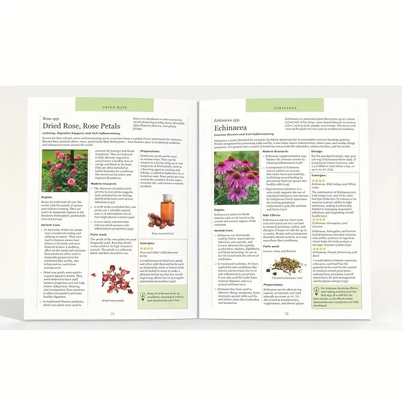 The Natural Healing Handbook, Herbal Medicine and Holistic Health Home Remedies, a Must-Have Book for Health Seekers