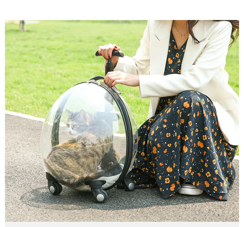 Pet Transparent Trolley Case Cat Dog Travel Convenient Portable Large Capacity Cart Ventilate Pet Carriers Supplies Accessories