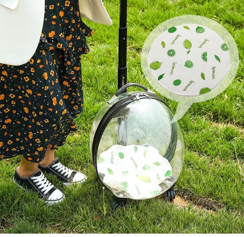 Pet Transparent Trolley Case Cat Dog Travel Convenient Portable Large Capacity Cart Ventilate Pet Carriers Supplies Accessories