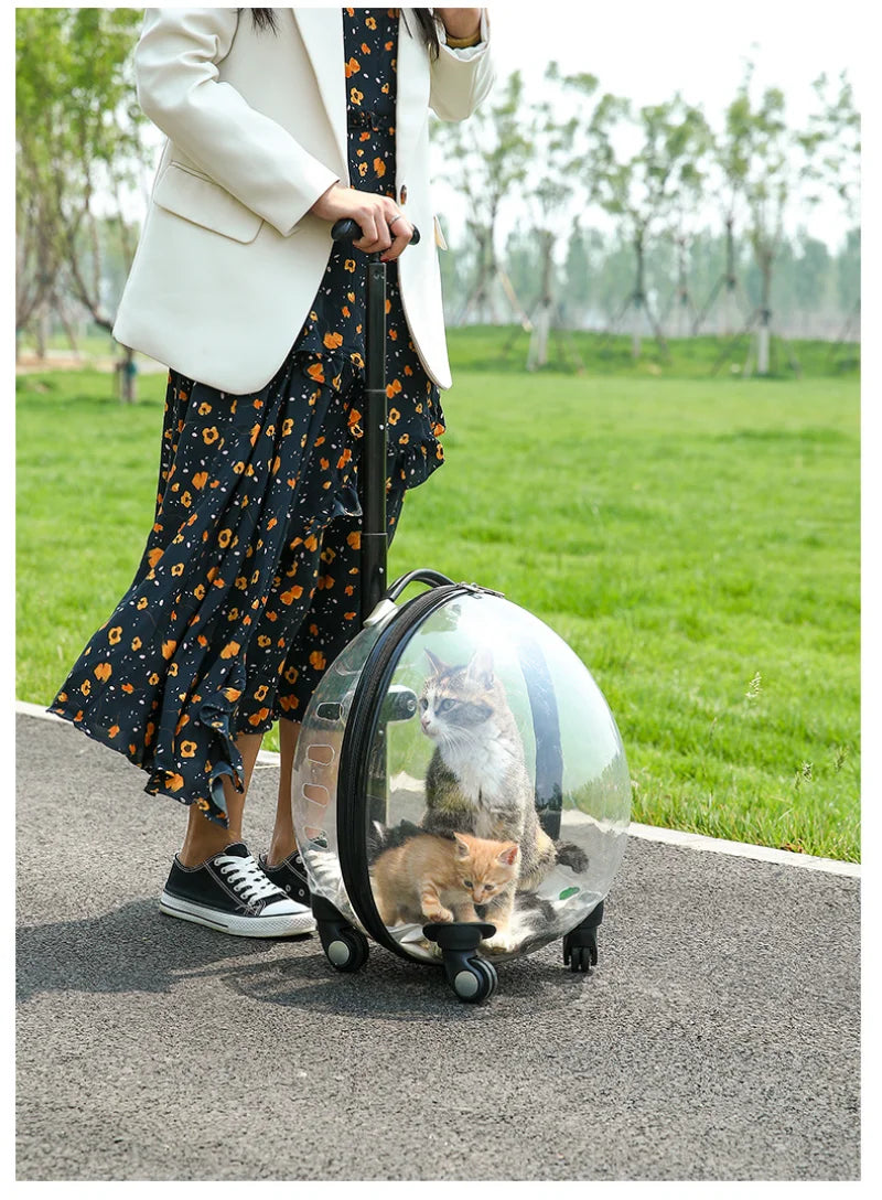 Pet Transparent Trolley Case Cat Dog Travel Convenient Portable Large Capacity Cart Ventilate Pet Carriers Supplies Accessories