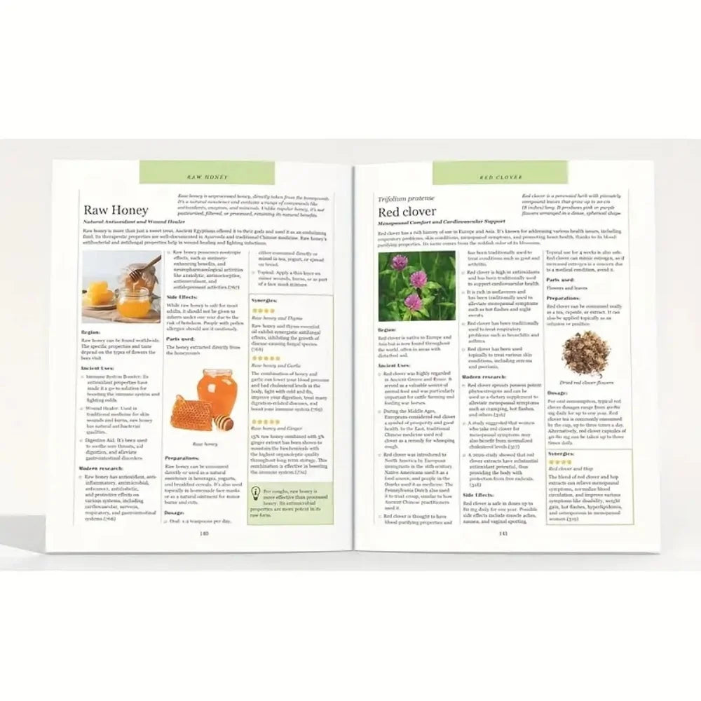 The Natural Healing Handbook, Herbal Medicine and Holistic Health Home Remedies, a Must-Have Book for Health Seekers