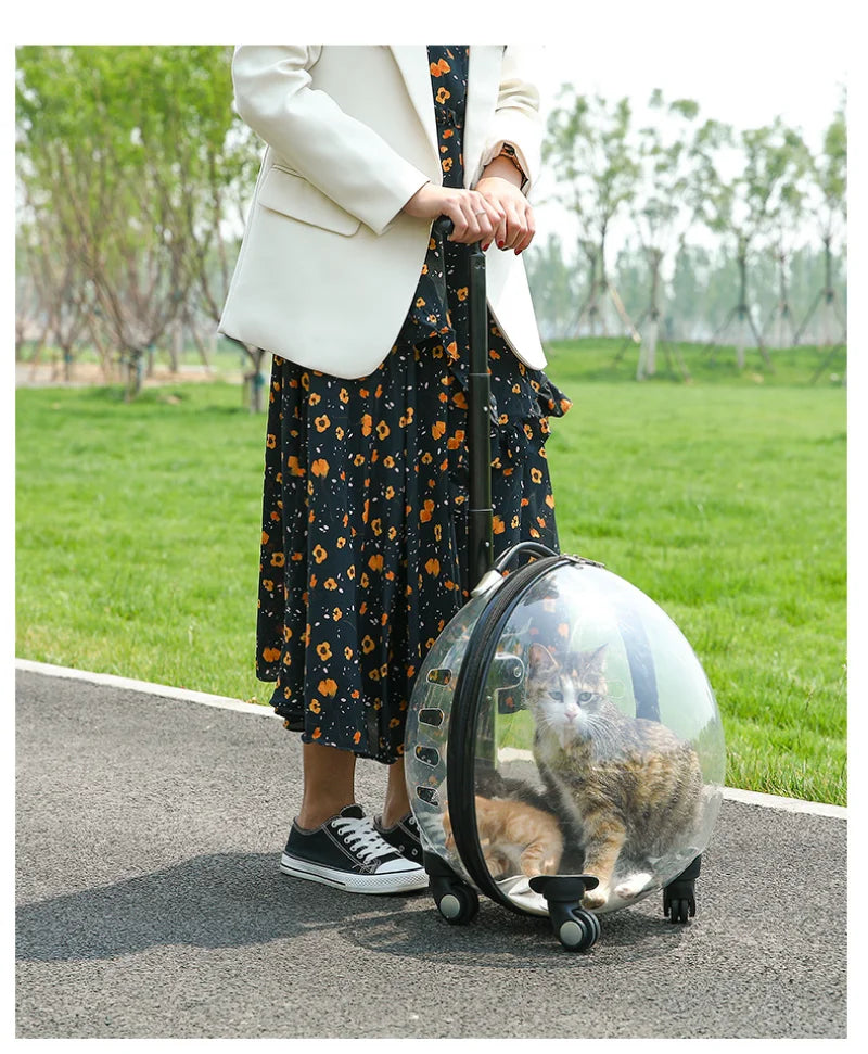 Pet Transparent Trolley Case Cat Dog Travel Convenient Portable Large Capacity Cart Ventilate Pet Carriers Supplies Accessories