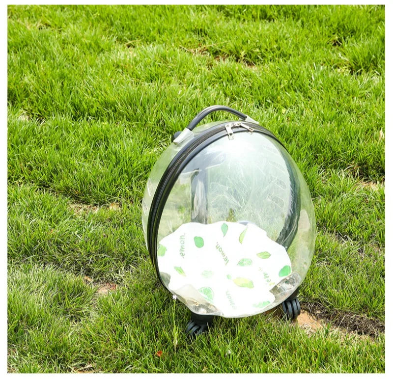 Pet Transparent Trolley Case Cat Dog Travel Convenient Portable Large Capacity Cart Ventilate Pet Carriers Supplies Accessories