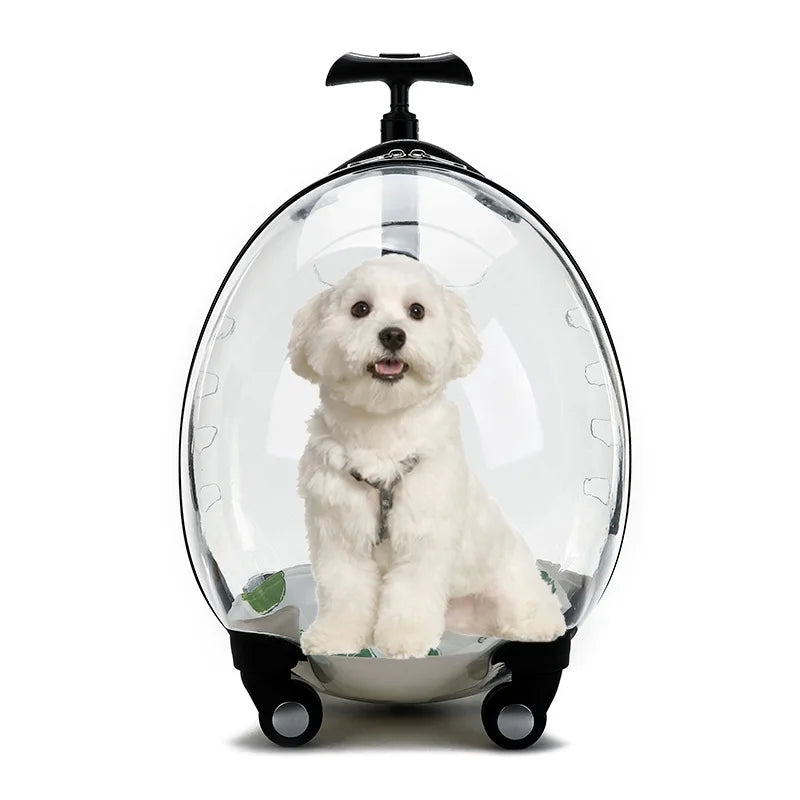 Pet Transparent Trolley Case Cat Dog Travel Convenient Portable Large Capacity Cart Ventilate Pet Carriers Supplies Accessories