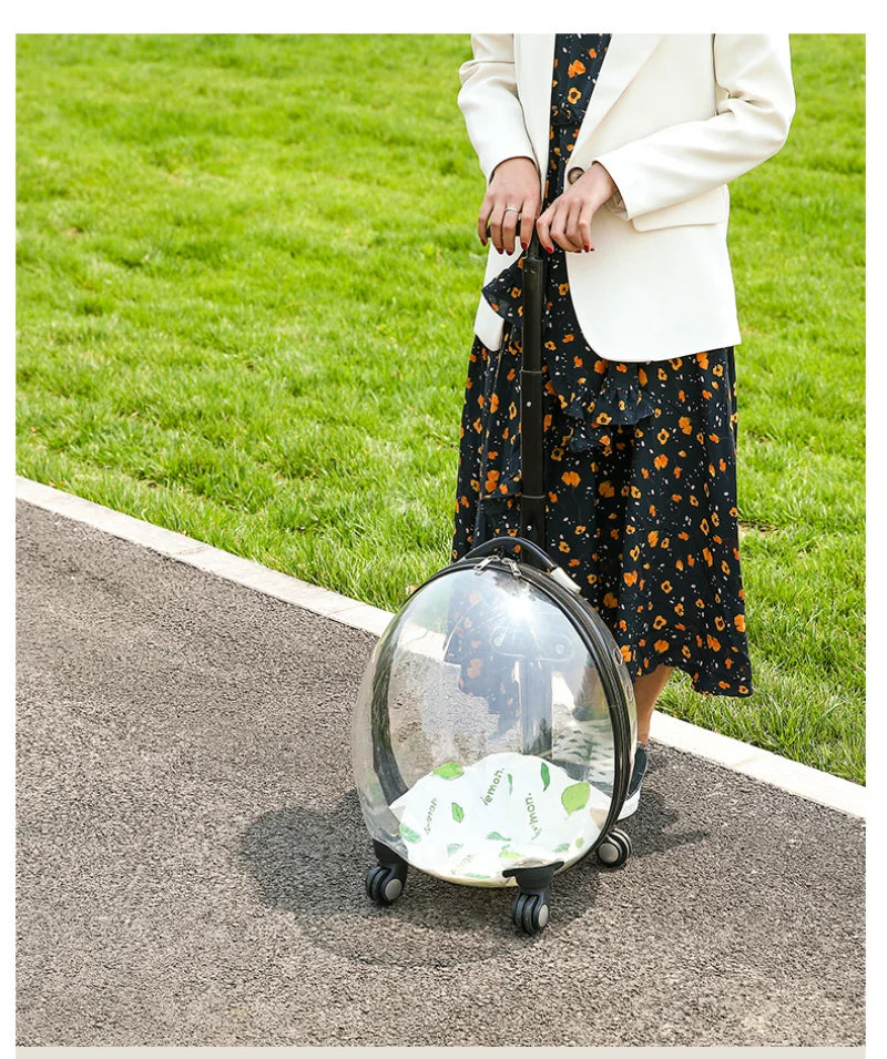 Pet Transparent Trolley Case Cat Dog Travel Convenient Portable Large Capacity Cart Ventilate Pet Carriers Supplies Accessories