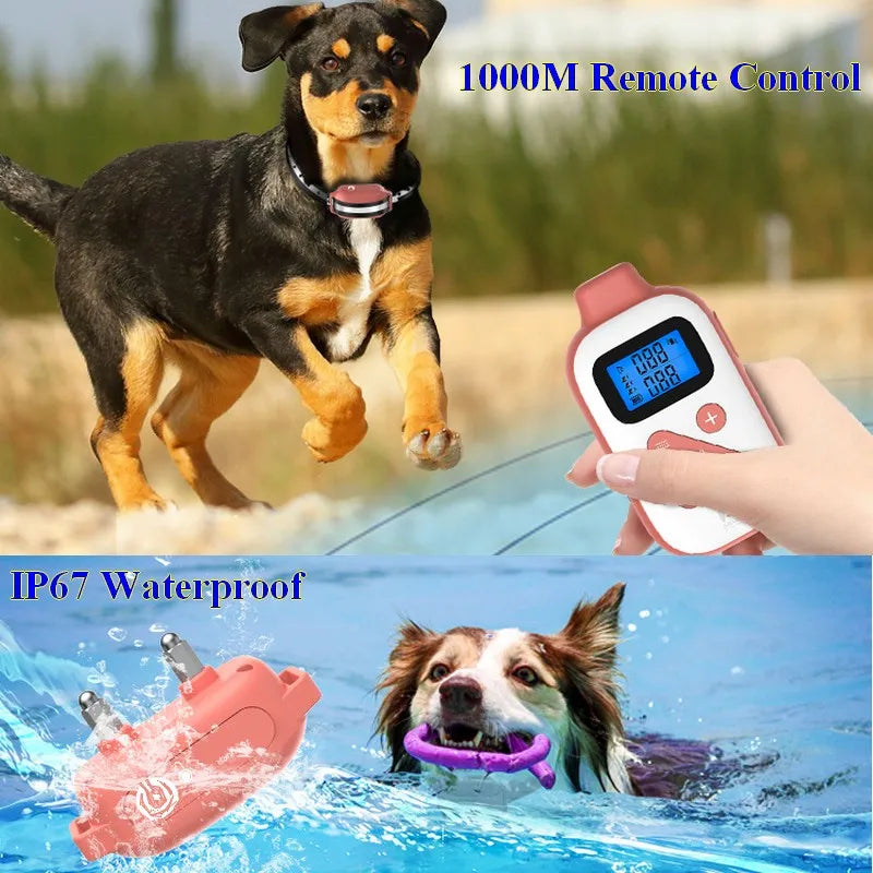 1000M Electric Pet Dog Training Collar IP67 Waterproof Rechargeable Remote Control Up to 3 Dogs E Collar Professional rainer