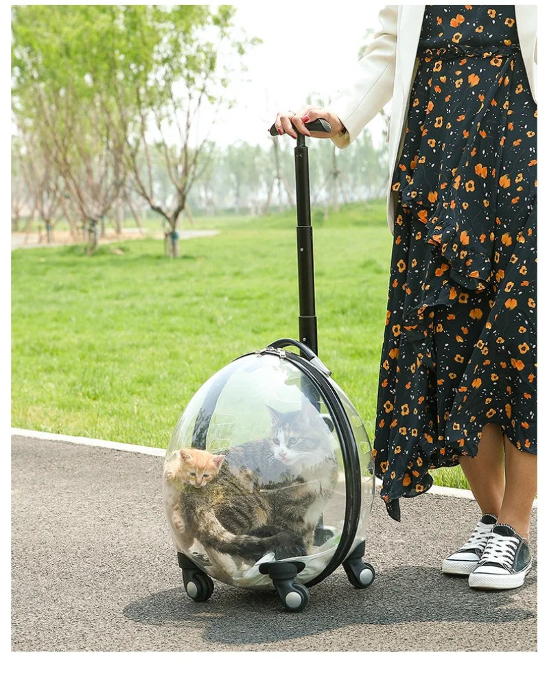 Pet Transparent Trolley Case Cat Dog Travel Convenient Portable Large Capacity Cart Ventilate Pet Carriers Supplies Accessories