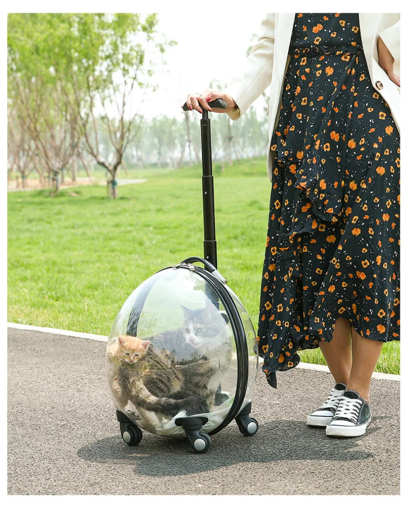 Pet Transparent Trolley Case Cat Dog Travel Convenient Portable Large Capacity Cart Ventilate Pet Carriers Supplies Accessories