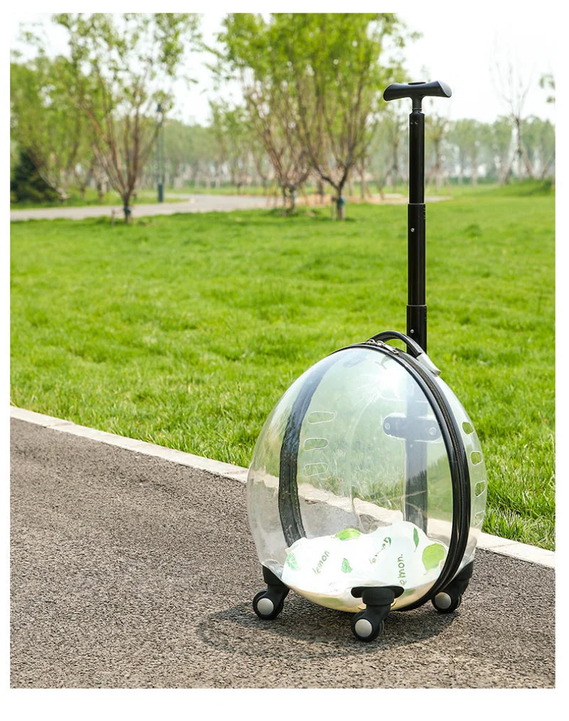 Pet Transparent Trolley Case Cat Dog Travel Convenient Portable Large Capacity Cart Ventilate Pet Carriers Supplies Accessories