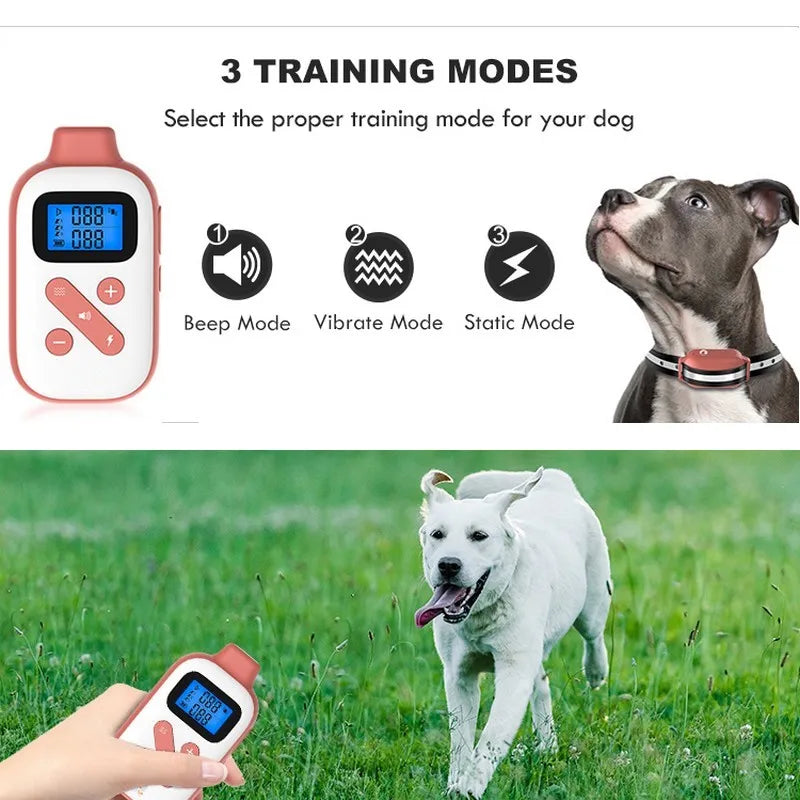 1000M Electric Pet Dog Training Collar IP67 Waterproof Rechargeable Remote Control Up to 3 Dogs E Collar Professional rainer