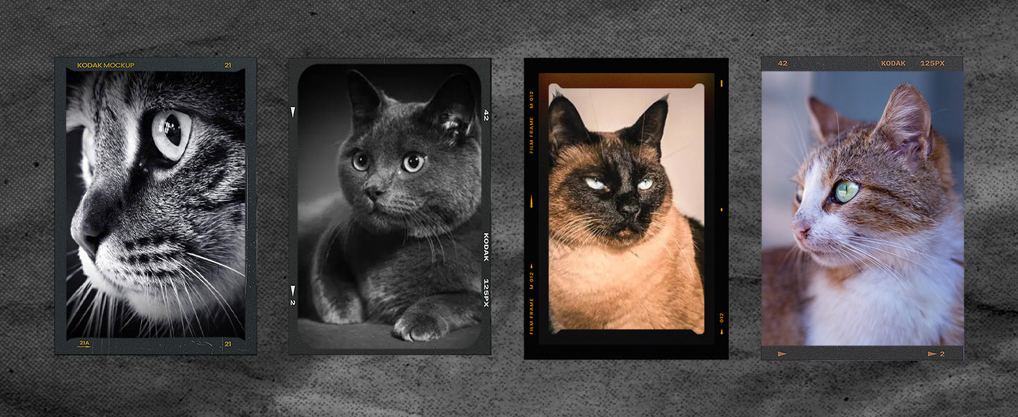 Pickfun Pet AI Monitoring Camera | WiFi monitoring, remote viewing, voice chat, pet behavior detection, smart home security